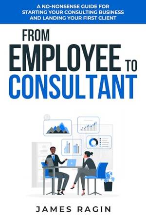 From Employee to Consultant - A Deep Dive Review